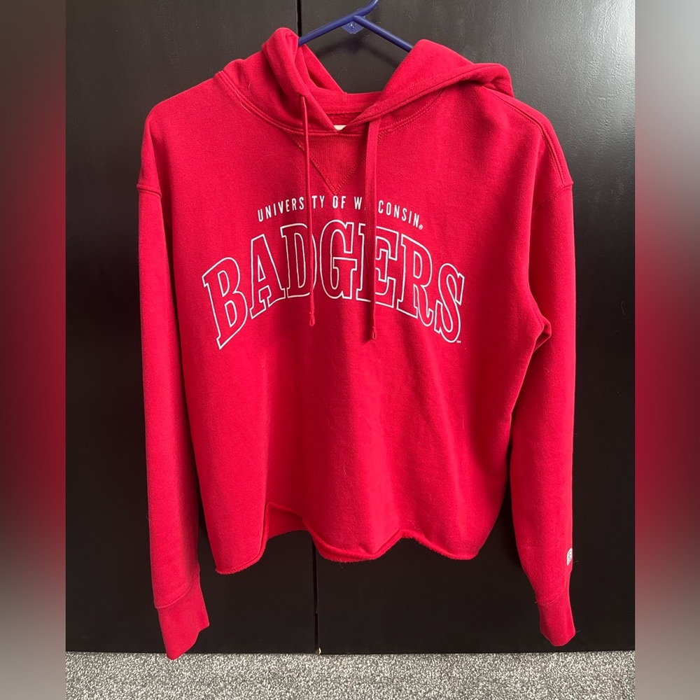 American Eagle Outfitters Tailgate Crop Sweatshirt